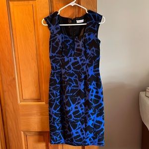 Calvin Klein Dress, worn 1x